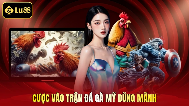 Cược vào trận đá gà Mỹ dũng mãnh