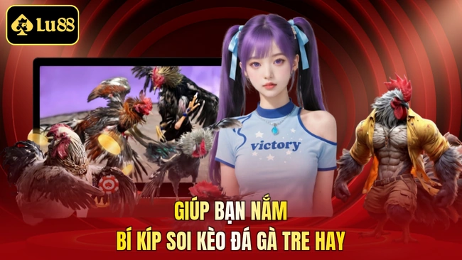 Giúp bạn nắm bí kíp soi kèo đá gà tre hay