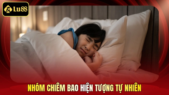 Nhóm chiêm bao hiện tượng tự nhiên