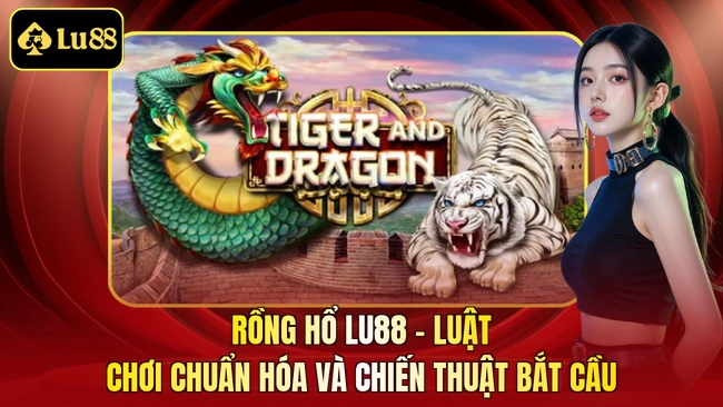 Rồng Hổ LU88 - Luật Chơi Chuẩn Hóa Và Chiến Thuật Bắt Cầu